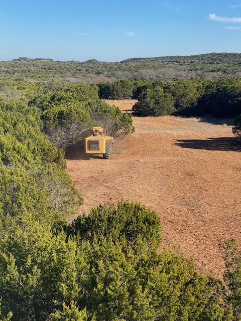 Land Clearing And Removal Services