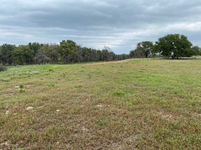 wildfire-bosque-after