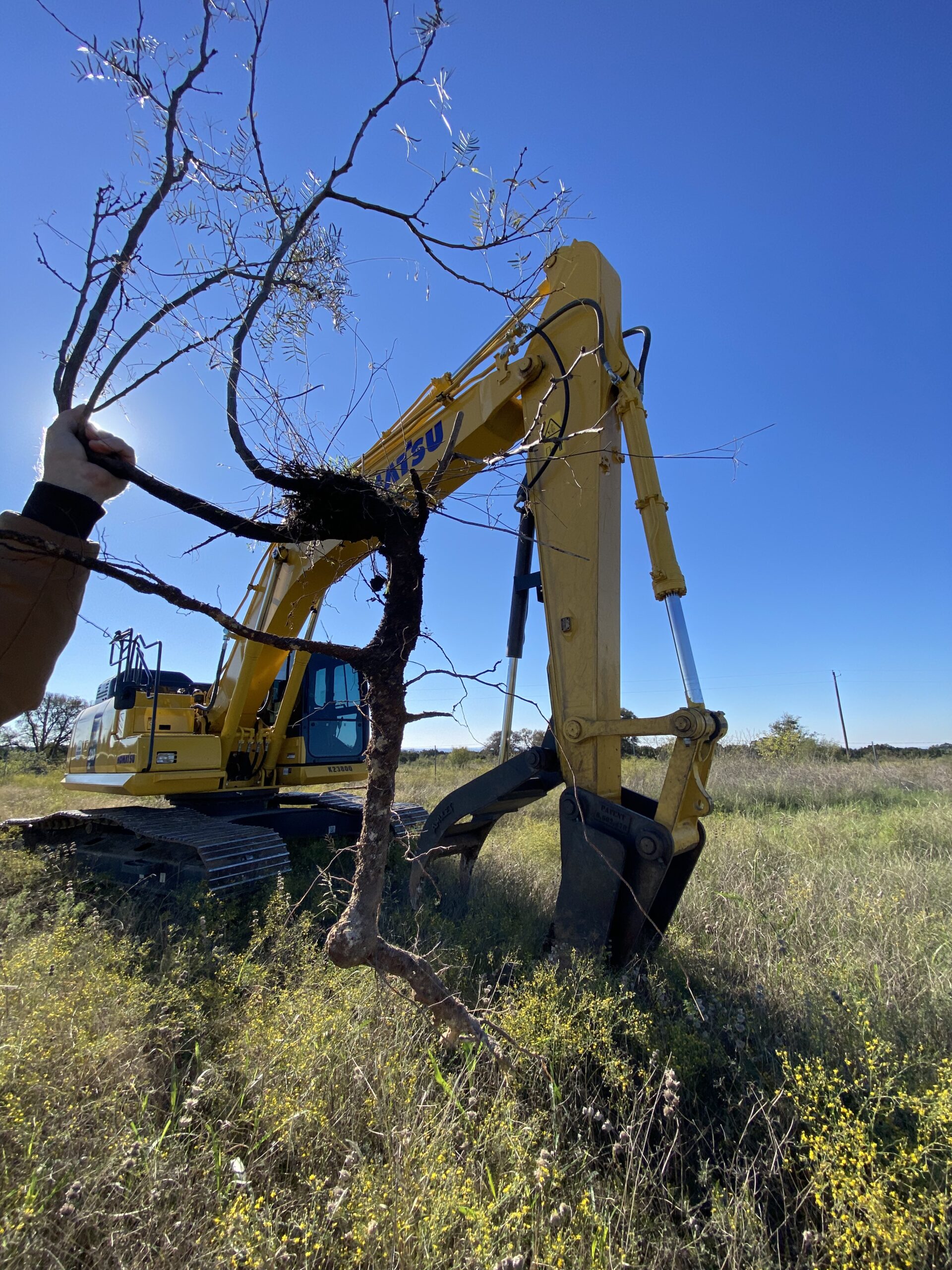 Mesquite Grubbing Land Clearing Bertram TX Burnet County TX