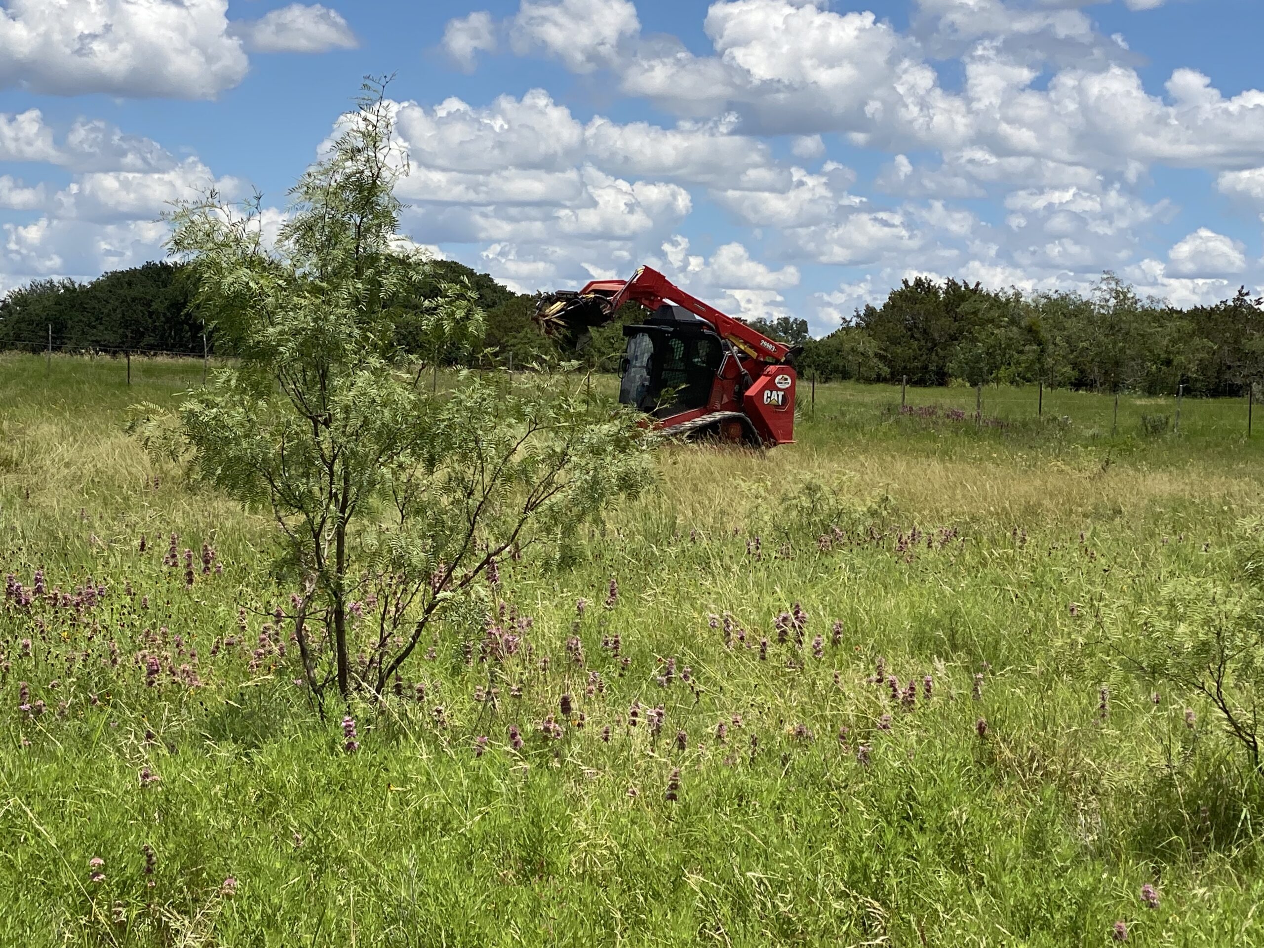 Land Clearing with Skid Steer Mesquite Grubber in Lampasas County near Lometa TX Cedar Eaters
