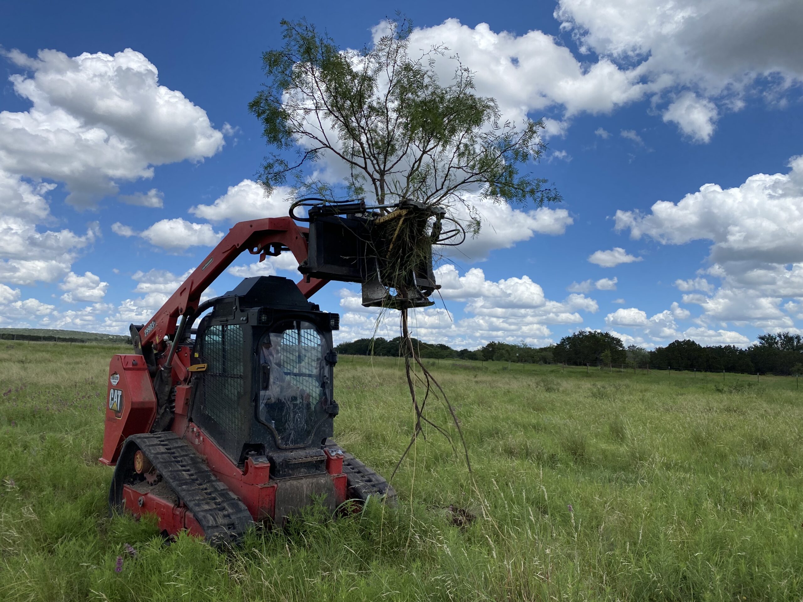 Land Clearing with Skid Steer Mesquite Grubber in Lampasas County near Lometa TX Cedar Eaters