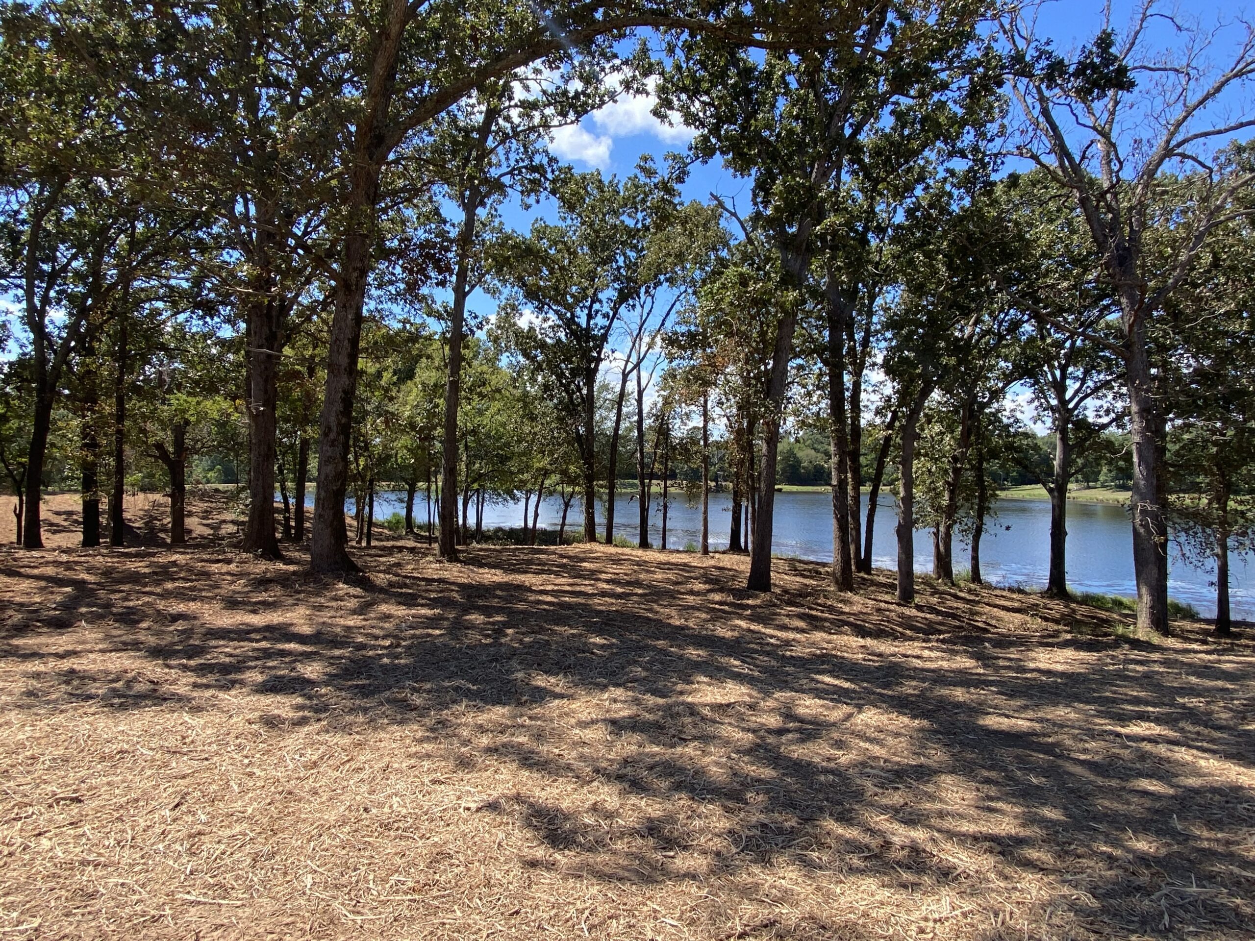Land Clearing East Texas after understory performed