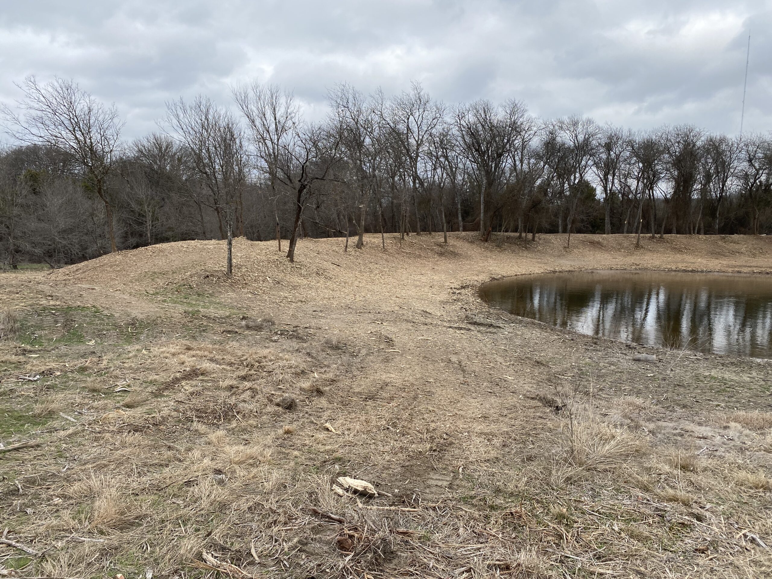 Photo of cleared pond dam.
