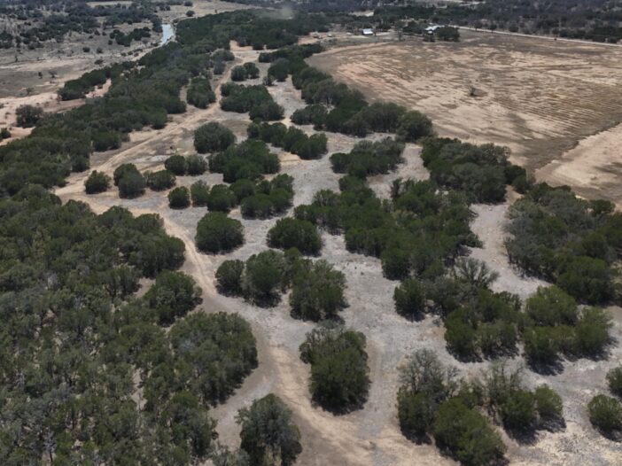 mosaic land clearing performed by Cedar Eaters in 2024.