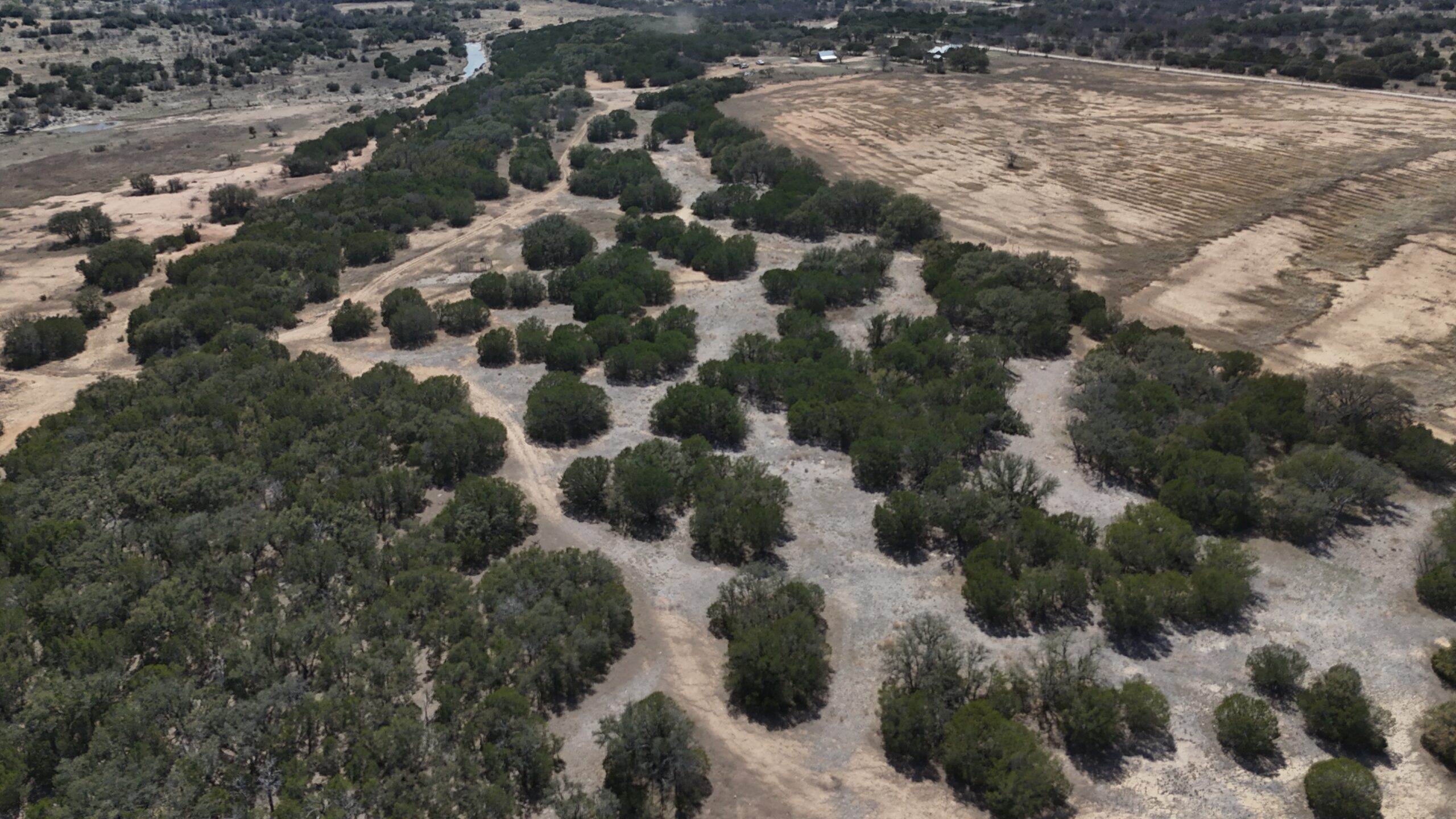 mosaic land clearing performed by Cedar Eaters in 2024.