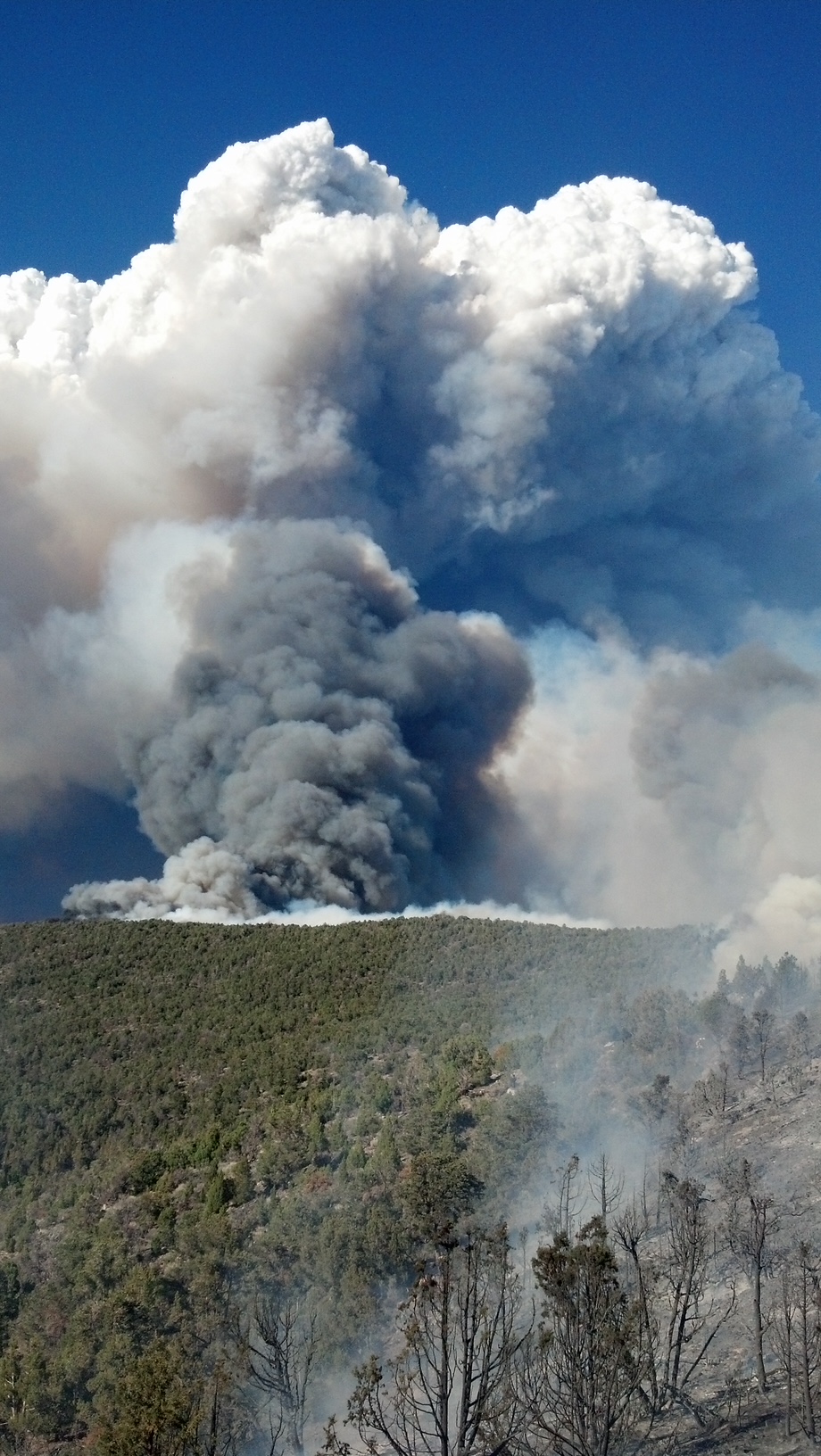 smoke column from wildfire in California