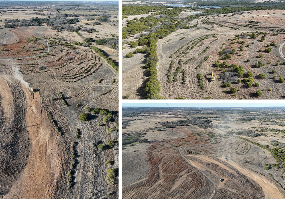 land-clearing-beaver-biomimicry land-clearing-beaver-biomimicry