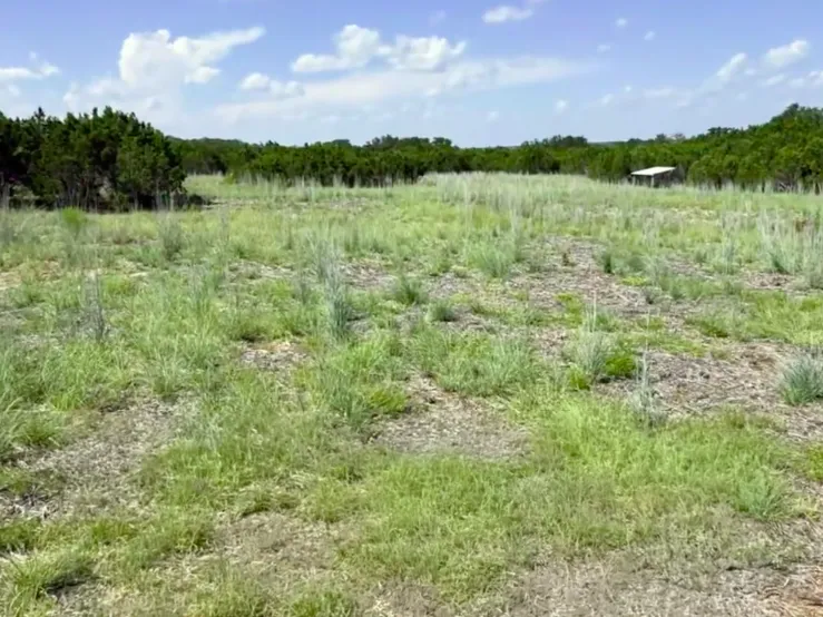 Mulching for native grass growth in Texas