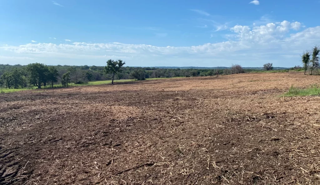 Cedar Eater Mulched wildfire area near Walnut Springs TX