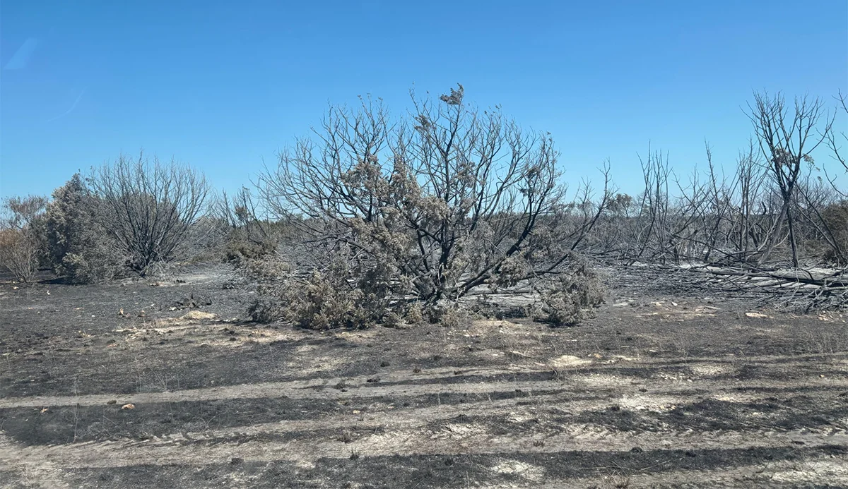 Wildfire in Hamilton County - Cedar Eater Forestry Mulching