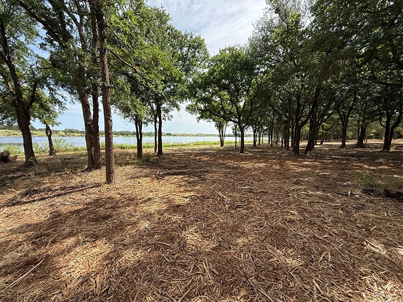 understory clearing performed near private lake edge.